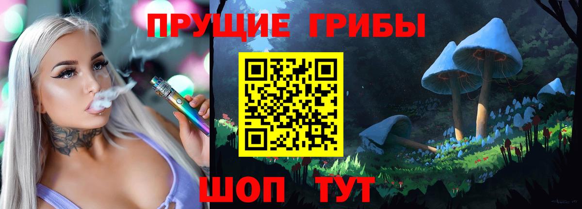Выкса  Псилоцибиновые грибы Cubensis  Вход с VPN 